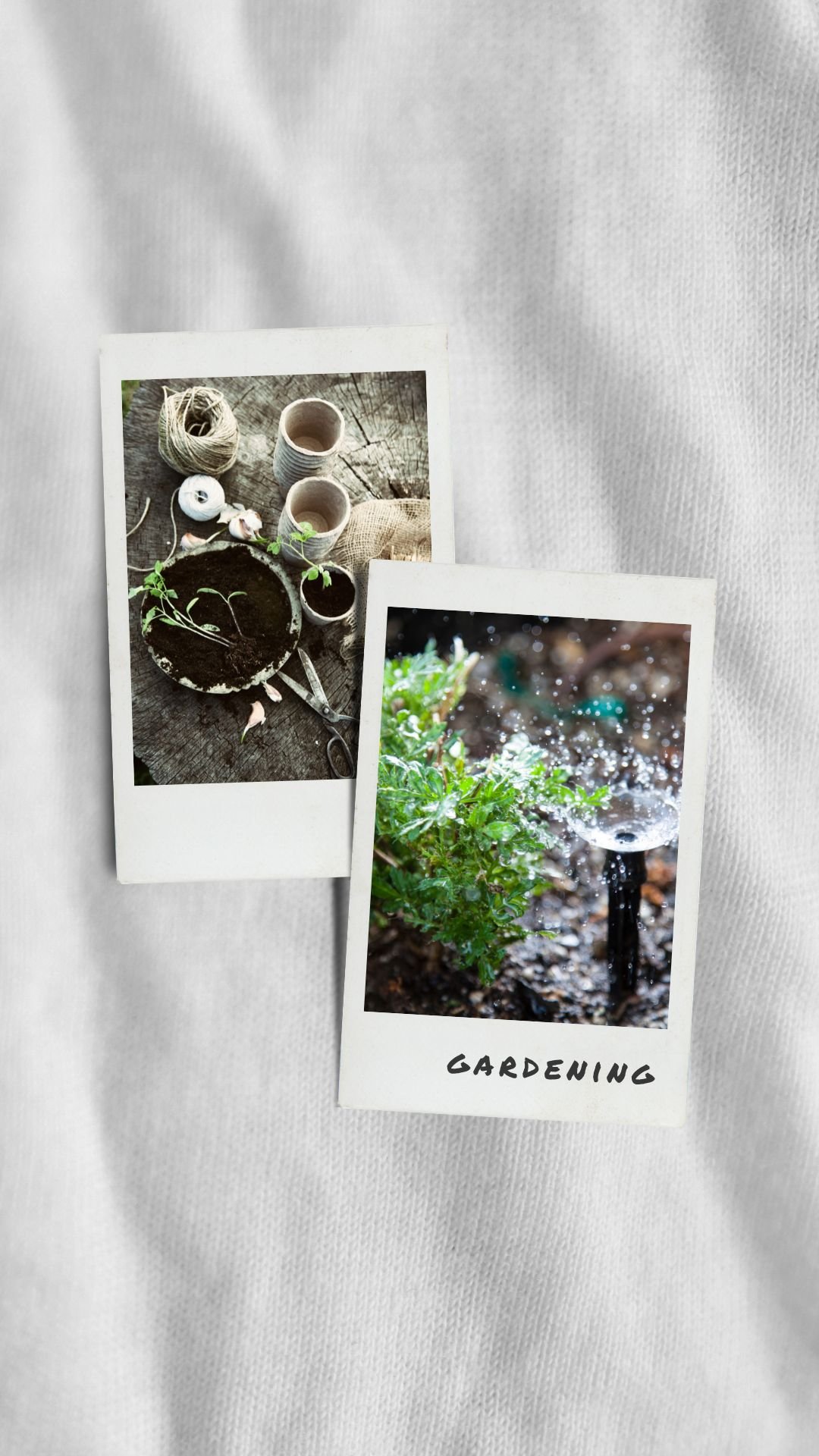 Blog11_1 Een moestuin beginnen